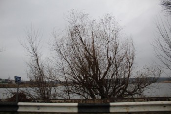 Ukraine